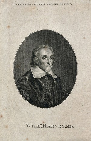 view William Harvey. Line engraving by C. Blackberd, 1790, after W. von Bemmel, 1657.