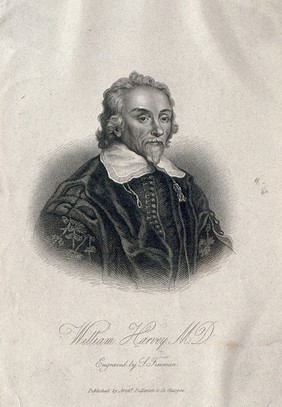 William Harvey. Stipple engraving by S. Freeman after W. von Bemmel, 1657.