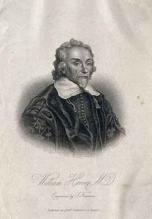 view William Harvey. Stipple engraving by S. Freeman after W. von Bemmel, 1657.