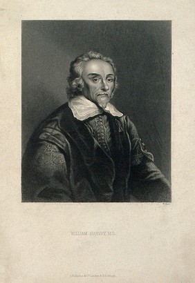 William Harvey. Stipple engraving by W. Holl after W. von Bemmel, 1657.