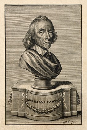 William Harvey. Line engraving by W. Faithorne, 1653.