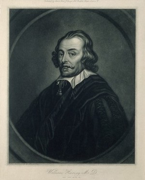 view William Harvey. Process print after J. McArdell.