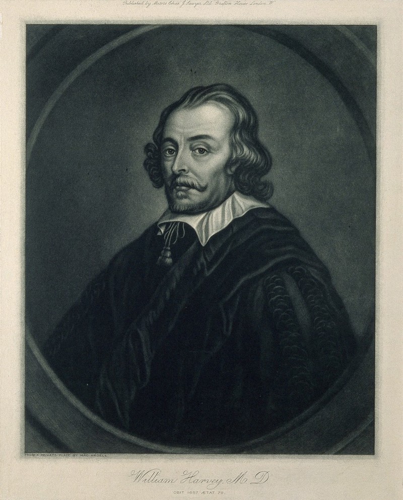 William Harvey. Process print after J. McArdell., by James MacArdell