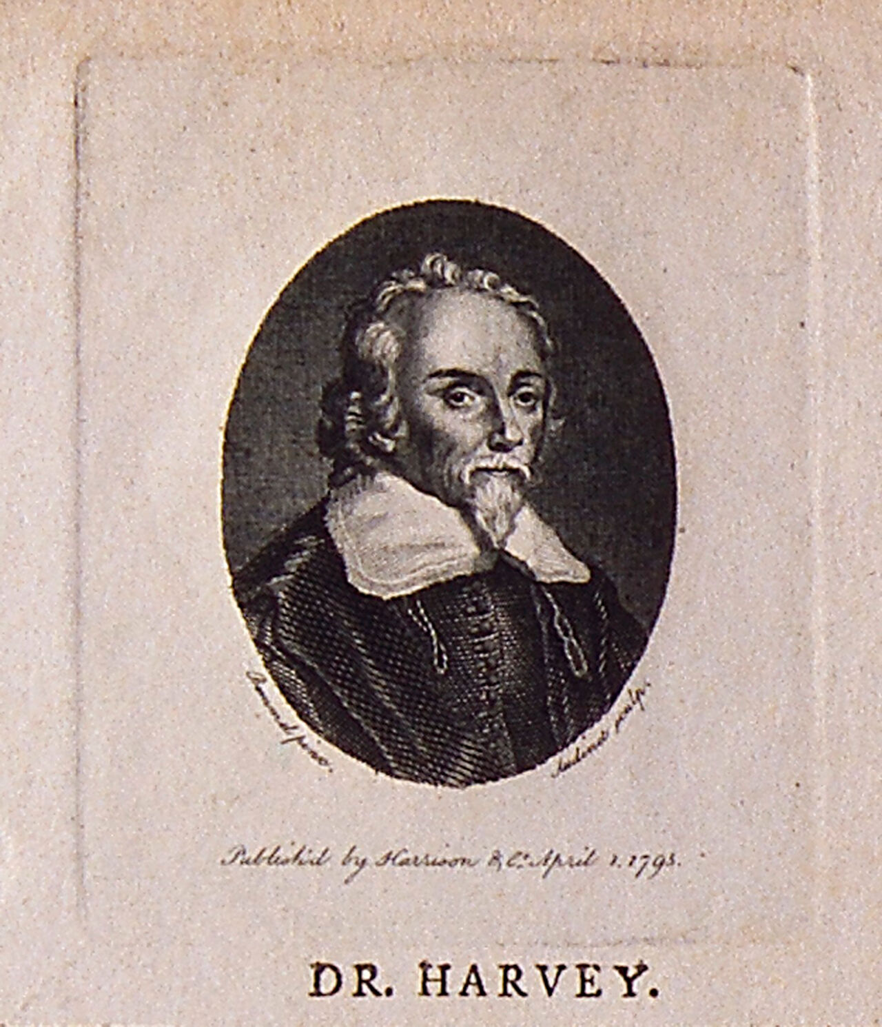William Harvey. Stipple engraving by P. Audinet, 1795, after W. von Bemmel, 1657., 1795, by Philip Audinet