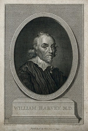 view William Harvey. Line engraving by T. Cook.