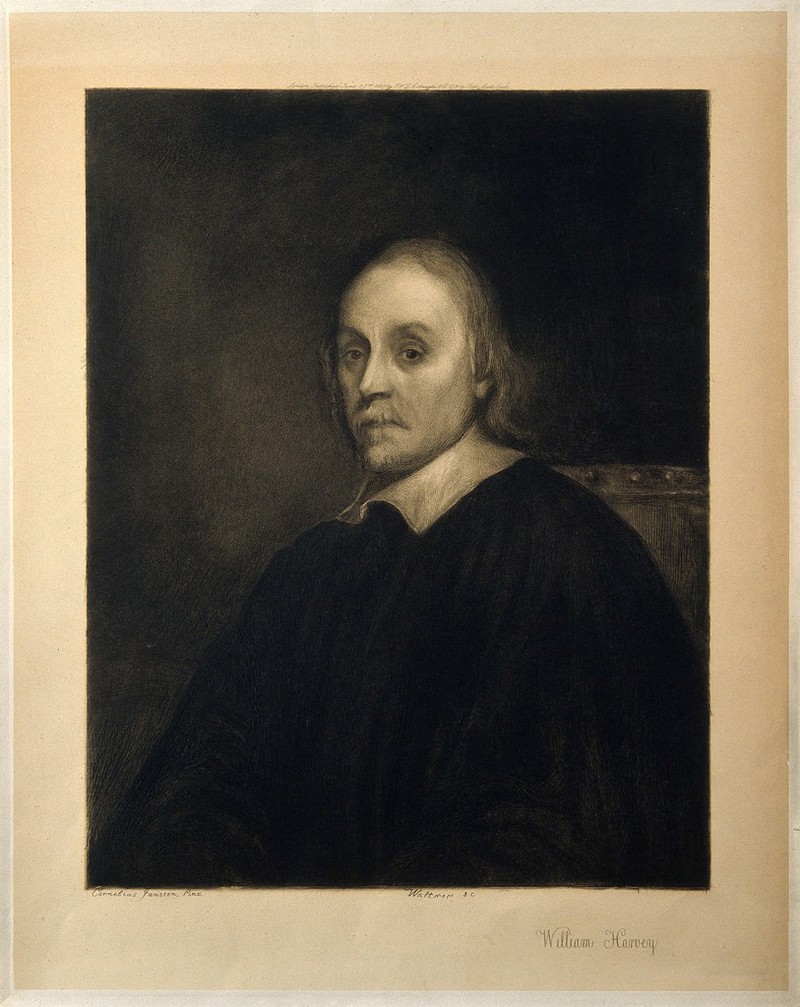 William Harvey. Etching by C.A. Waltner, 1887, after C. Janssen., June 23rd 1887, by Charles Albert Waltner