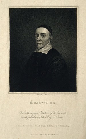 view William Harvey. Stipple engraving by E. Scriven after C. Janssen.