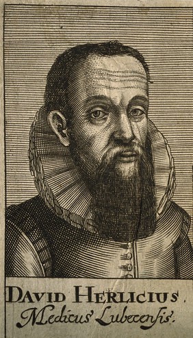 David Herlitz. Line engraving, 1688.