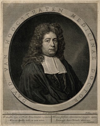 David Hoogstraten. Line engraving by P. van Gunst after A. Boonen.