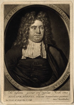 view David Hoogstraten. Mezzotint by P. Schenck after himself.