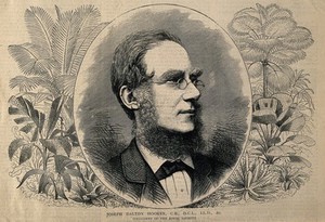 view Sir Joseph Dalton Hooker. Wood engraving by W.G. Smith after himself.