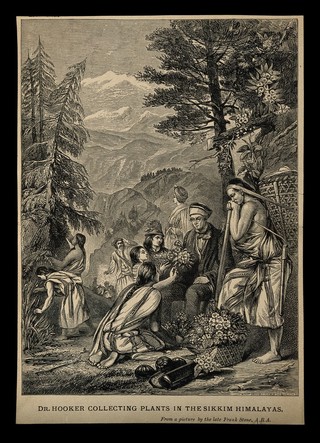 Sir Joseph Dalton Hooker. Wood engraving by Butterworth & Heath after F. Stone.