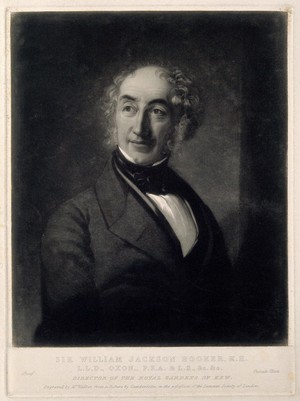 view Sir William Jackson Hooker. Mezzotint by W. Walker after S. Gambardella.