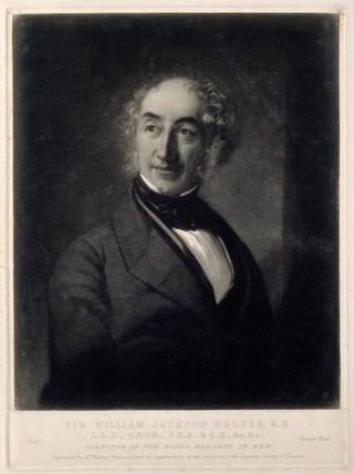 Sir William Jackson Hooker. Mezzotint by W. Walker after S. Gambardella.