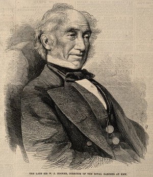 view Sir William Jackson Hooker. Wood engraving by J. Mahoney, 1865, after T.D. Scott.