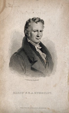 Friedrich Heinrich Alexander von Humboldt. Line engraving by J. Horsburgh after Baron C. von Steuben, 1815.