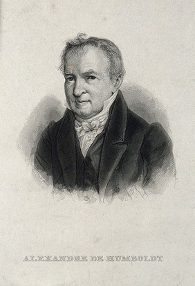 Friedrich Heinrich Alexander von Humboldt. Engraving.