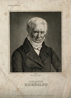 Friedrich Heinrich Alexander von Humboldt. Line engraving by J. G. Nordheim after himself.