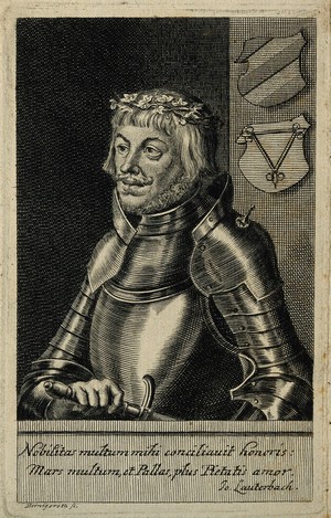 view Ulrich von Hutten. Line engraving by M. Bernigeroth.