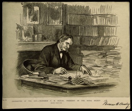 Thomas Henry Huxley. Reproduction of drawing by T. B. Wirgman, 1882.