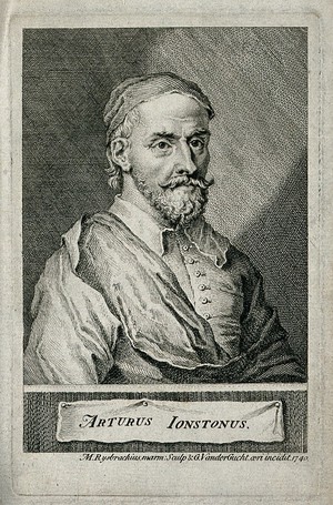 view Arthur Johnston [Jonston]. Line engraving by G. Vertue, 1740, after M. Rysbrack.