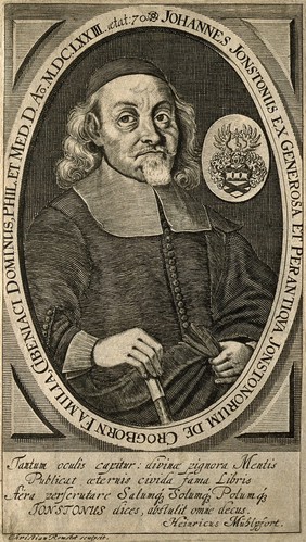 Johannes Jonston. Line engraving by C. Romstet, 1673.