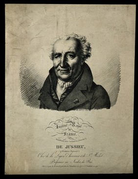 Antoine Laurent de Jussieu. Lithograph by J. Boilly, 1820.