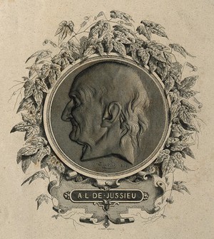 view Antoine Laurent de Jussieu. Line engraving by A. Féart after himself after David d'Angers, 1836.