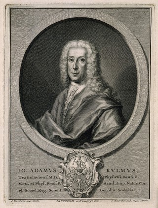 Johann Adam Kulm. Line engraving by J. Houbraken, 1743, after J. Wessel, 1740.