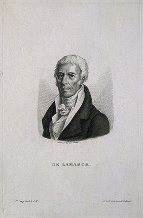 Jean Baptiste Pierre Antoine de Monet Lamarck. Stipple engraving by A. Tardieu, 1821, after J. Boilly.