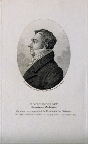 view Jean Vincent Félix Lamouroux, profile looking left. Stipple engraving by A. Tardieu after himself after J. S. Colman.