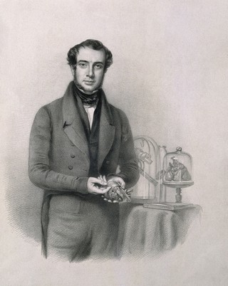 Samuel Armstrong Lane. Lithograph by R. J. Lane after T. Lewis.