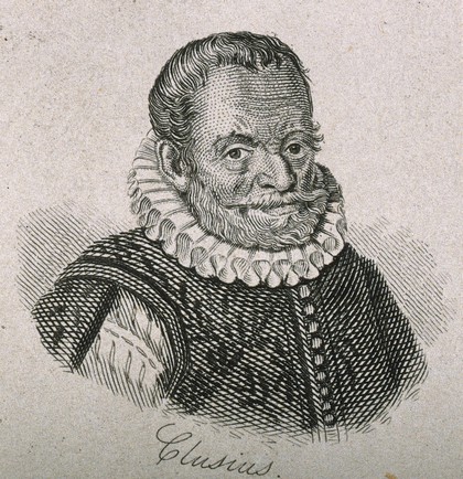 Charles de l'Ecluse [Clusius]. Line engraving.