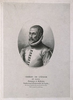 Charles de l'Ecluse [Clusius]. Stipple engraving by A. Tardieu after himself after M. Rota.