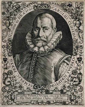 Charles de l'Ecluse [Clusius]. Line engraving by T. de Bry.