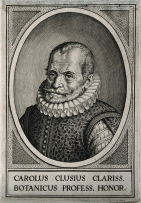 Charles de l'Ecluse [Clusius]. Line engraving by W. Swanenburgh, 1609, after J. de Gheyn, 1601.