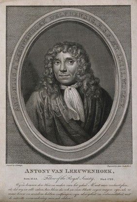 Antonius van Leeuwenhoek. Line engraving by Anker Smith after J. Verkolje, 1695.