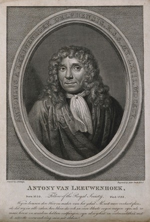 view Antonius van Leeuwenhoek. Line engraving by Anker Smith after J. Verkolje, 1695.