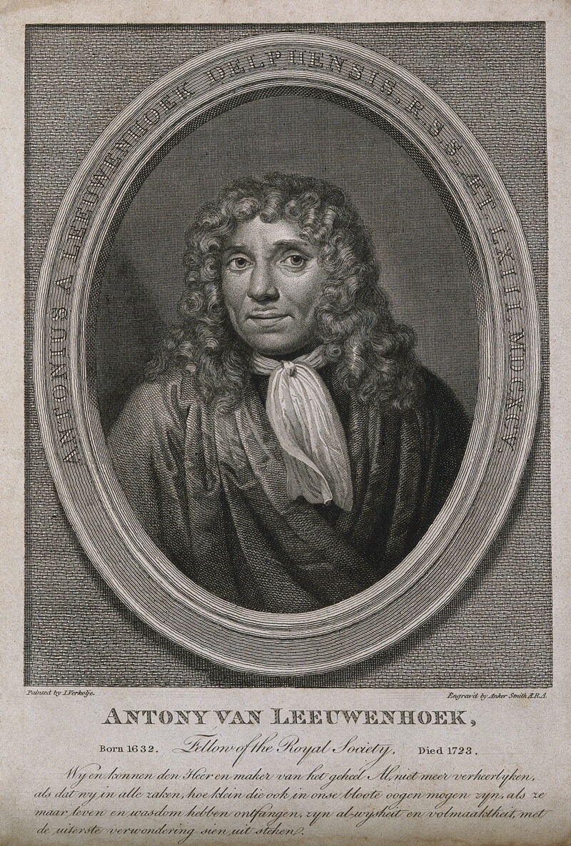 Antonius van Leeuwenhoek. Line engraving by Anker Smith after J. Verkolje, 1695., by Jan Verkolje