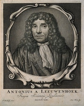 Antonius van Leeuwenhoek. Line engraving by A. de Blois after J. Verkolje.