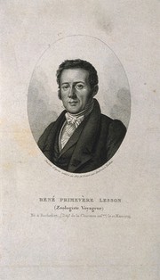 René Primevère Lesson. Stipple engraving by A. Tardieu, 1827, after himself.