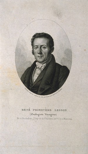 view René Primevère Lesson. Stipple engraving by A. Tardieu, 1827, after himself.