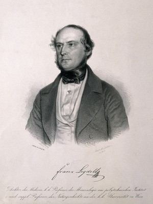 view Franz Leydolt. Lithograph by G. Decker, 1846.