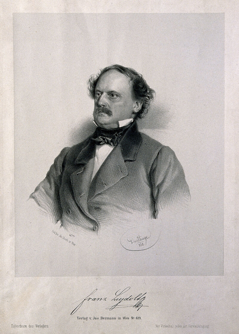 Franz Leydolt. Lithograph by A. Dauthage, 1858., 1858, by Adolf Dauthage
