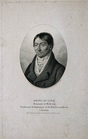 view Heinrich Friedrich Link. Stipple engraving by A. Tardieu after himself after F. Krüger.