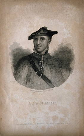 Carolus Linnaeus. Line engraving by J. Brown, 1834, after M. Hoffman.