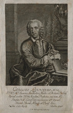 Carolus Linnaeus. Etching by J. M. Bernigeroth, 1749.