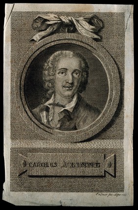 Carolus Linnaeus. Line engraving by G.G. Endner, 1774.