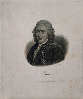 Carolus Linnaeus. Line engraving by G. F. L. Jaquemot.