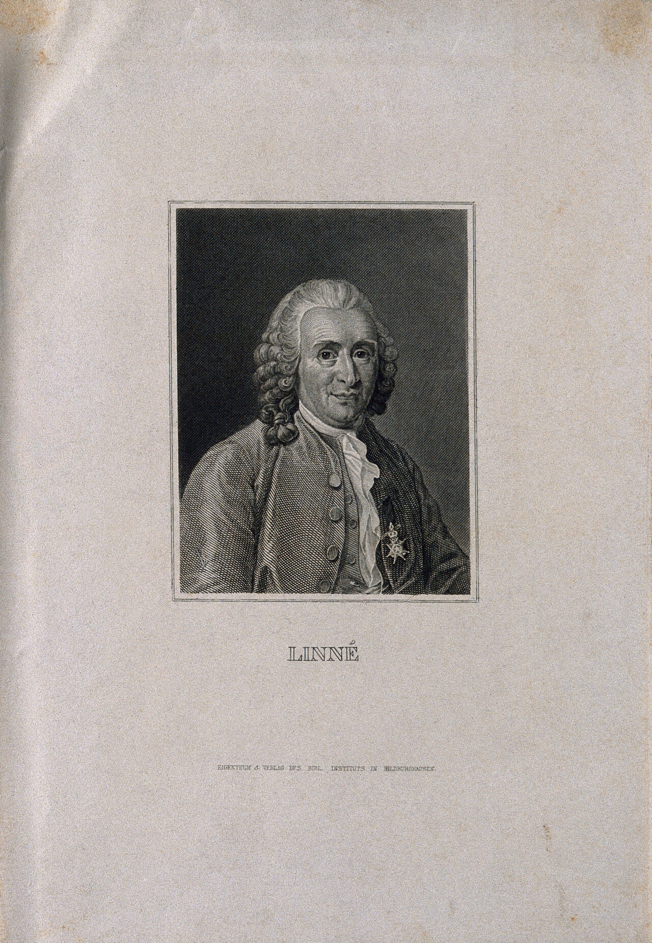 Carolus Linnaeus. Line engraving after A. Roslin, 1775., 1775, by Alexander Roslin